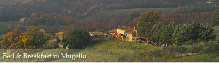Bed and Breakfast Mugello Toscana
