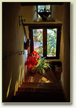 B&B campagna toscana